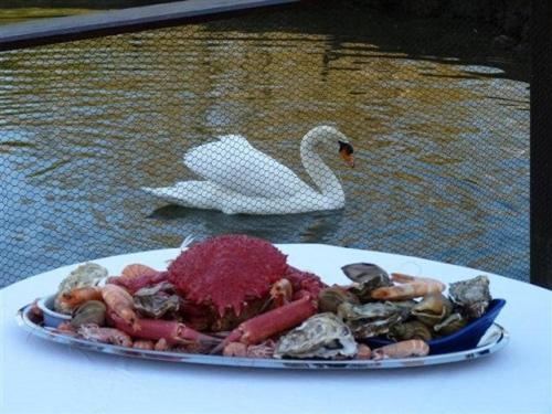 La Suite Du Pecheur, Balneo Et Terrasse Privative. Entre Terre Et Mer Tréméoc Bagian luar foto